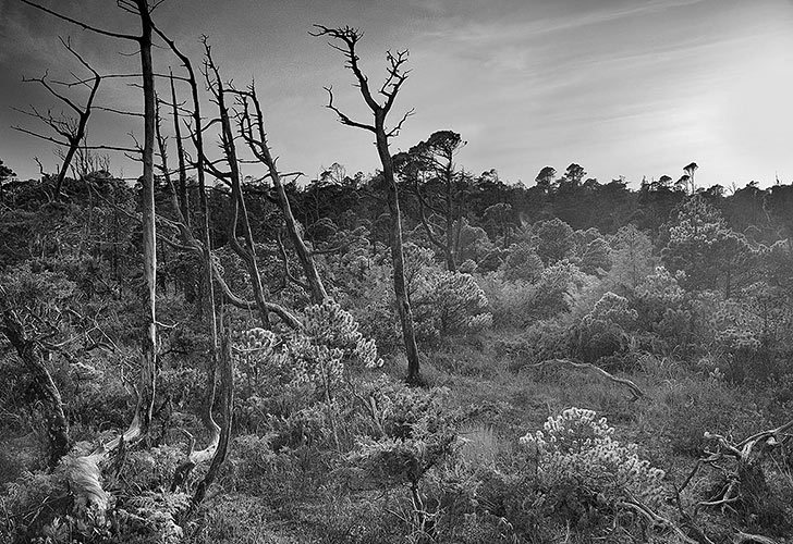 Tom Hawkins Black and White Landscape Photography 20